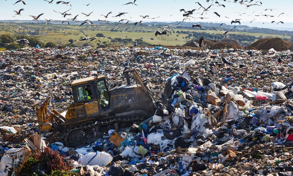 Estella-6_Landfill vs Composting