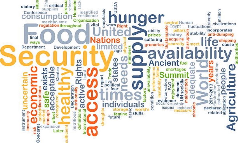 ISEP_1-Food Security Challenge