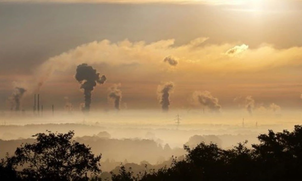 Reduce Carbon footprint