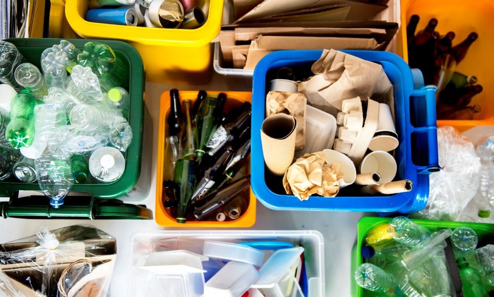 waste audit