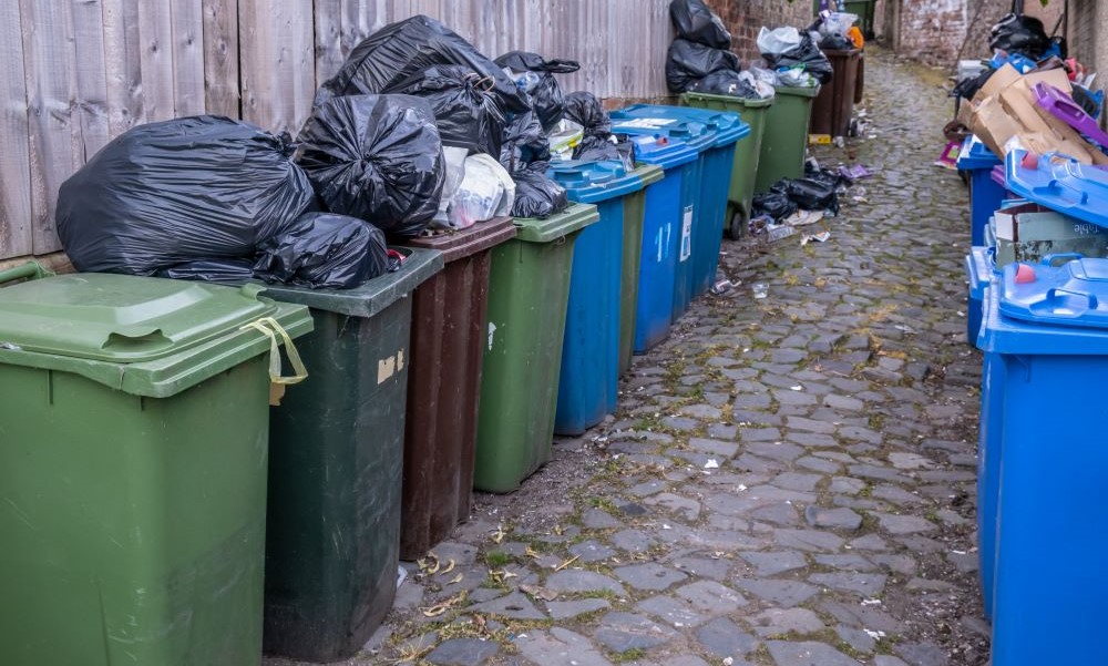 waste reduction (1)